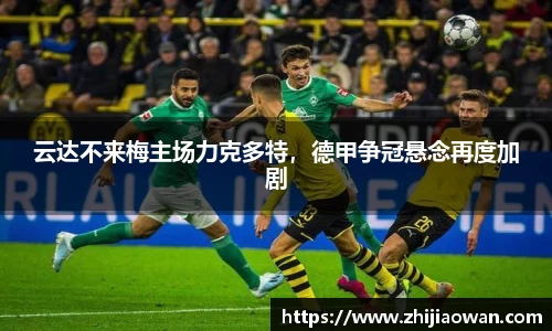 博鱼官方网站
