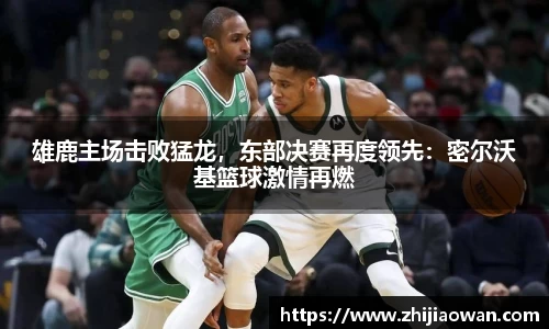 博鱼官方网站