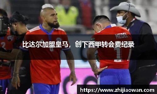 博鱼boyu官方网站