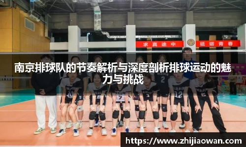 南京排球队的节奏解析与深度剖析排球运动的魅力与挑战