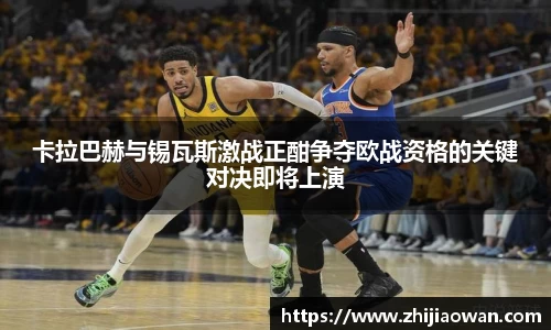 博鱼官方网站